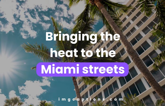 Best Miami Instagram Captions