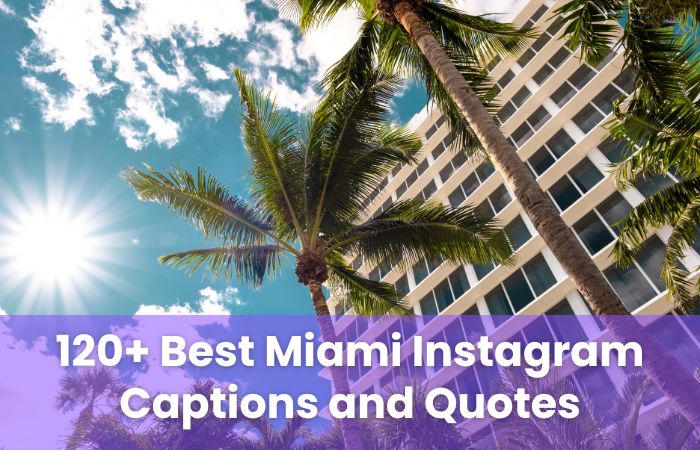 Miami Instagram Captions and Quotes