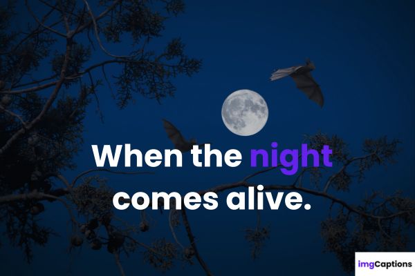 Night Photo Captions for Instagram