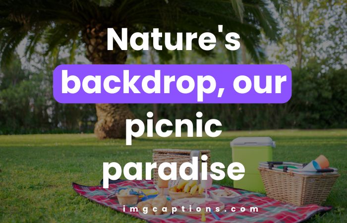 Perfect Outdoor Picnic Captions For Instagram