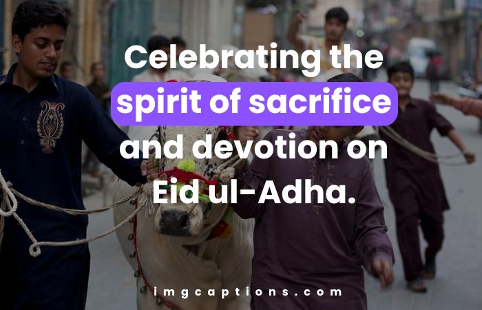 Eid Ul Adha Captions for Instagram