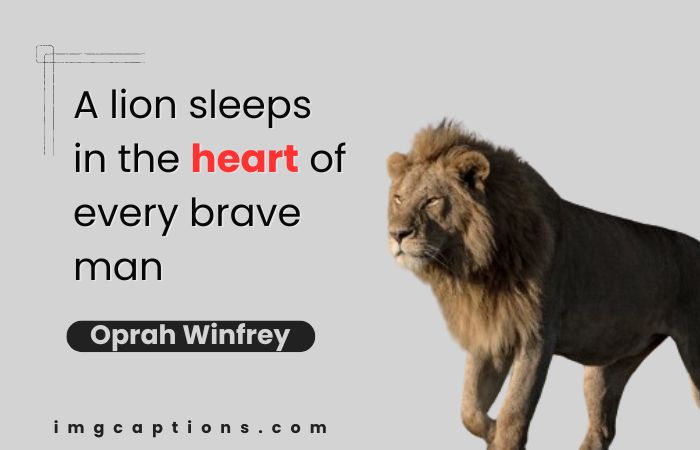 Lion Motivational Quotes