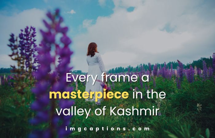 Captions For Nature Photography in Kashmir