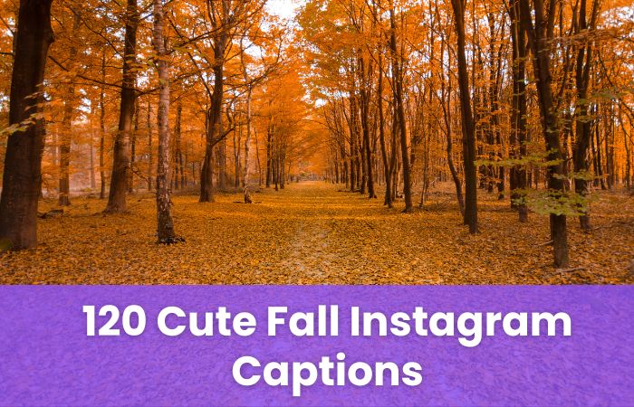 Cute Fall Instagram Captions