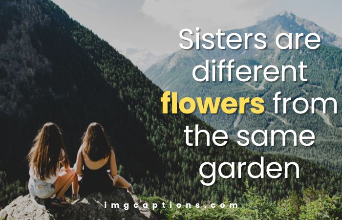 Cute Sister Quotes