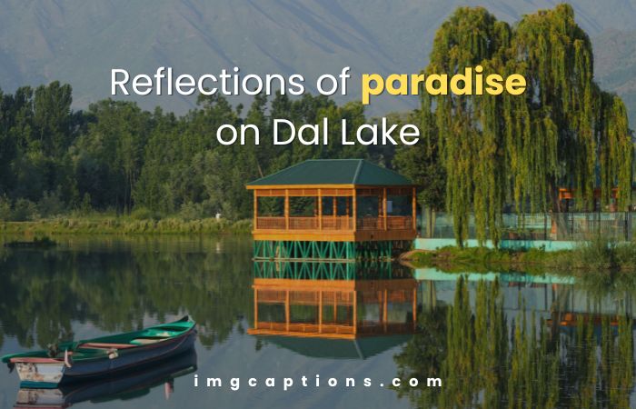 Dal Lake Captions for Instagram