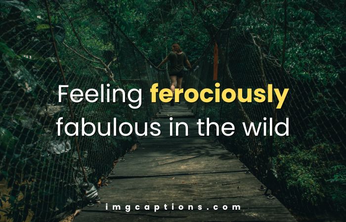 Funny Jungle Captions for Instagram