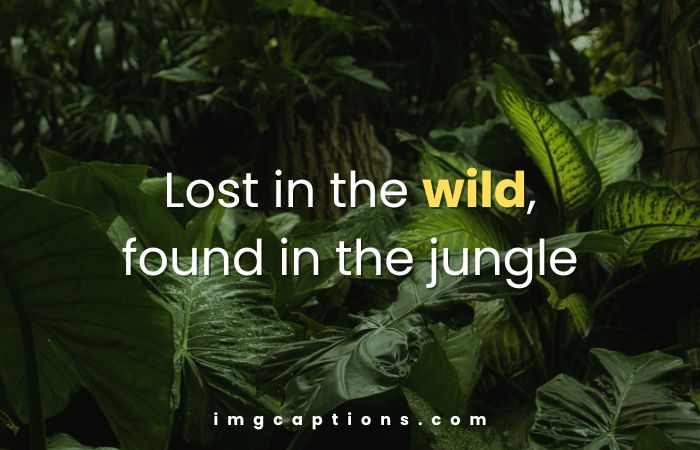 Jungle Captions for Instagram