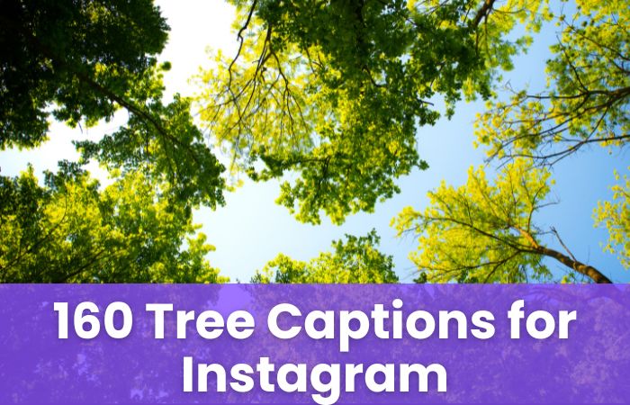 Tree Captions for Instagram