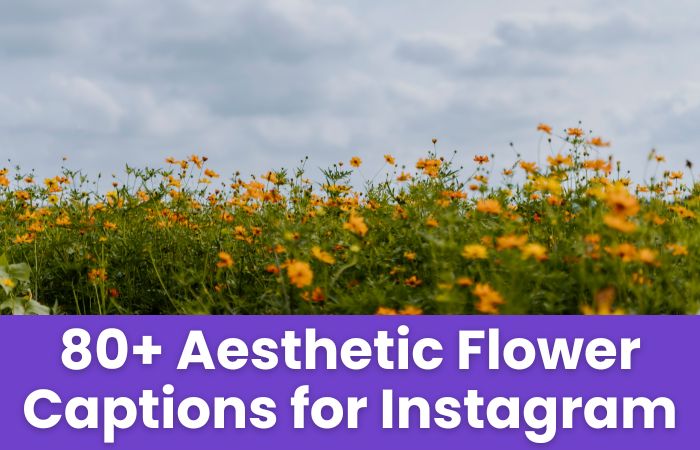 Aesthetic Flower Captions for Instagram