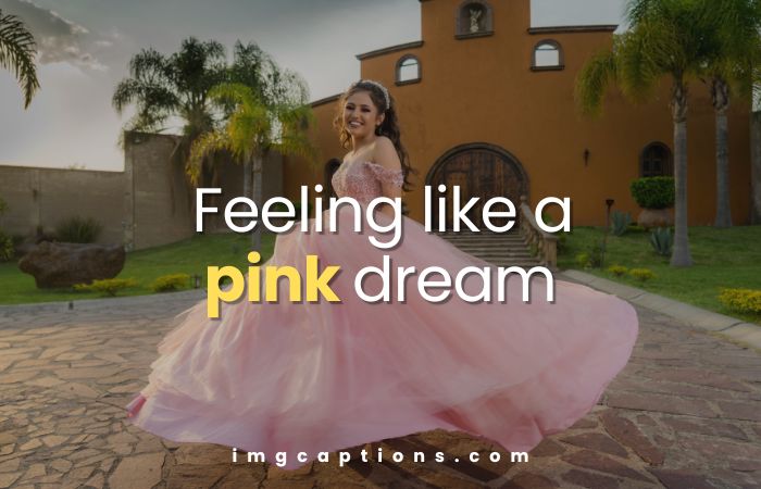 Pink Dress Captions for Instagram